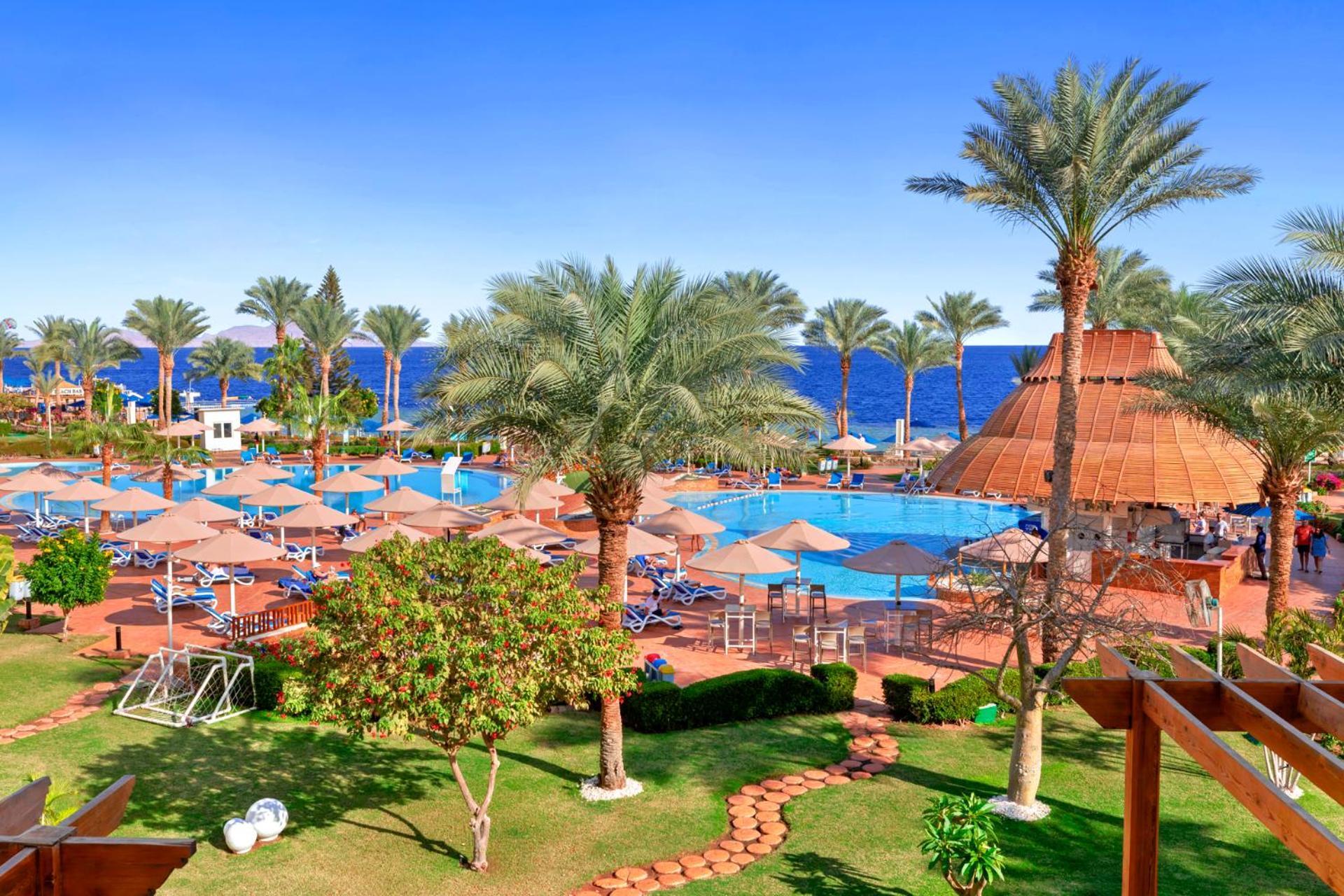 Pickalbatros Royal Grand Sharm - Adults Friendly 16 Years Plus Екстериор снимка The image shows a vibrant tropical resort scene. In the foreground, there are lush green palm trees and neatly organized grassy areas. A winding pathway made of bricks leads through the gardens. 

In the background, a large swimming pool is visible, 